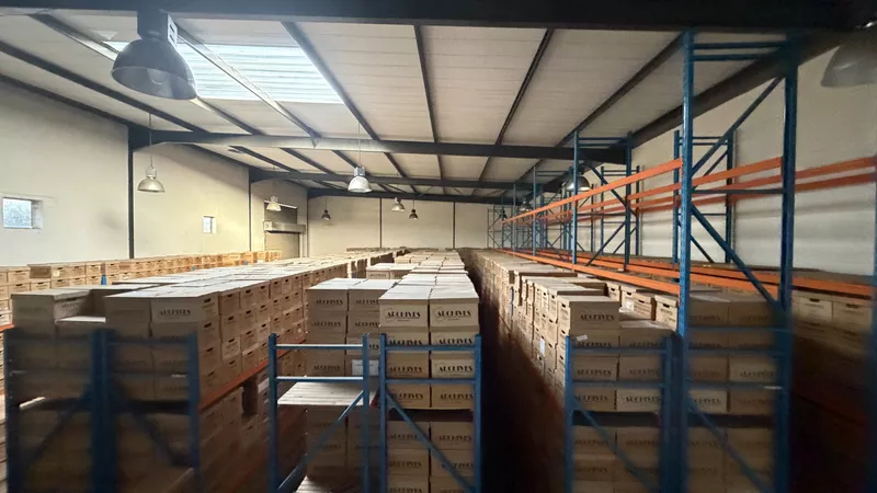 1 099 m² Industrial to let in Stikland Industrial, Santos Park, Stikland (photo 9)