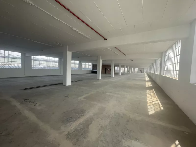 1 416 m² Industrial to let in Southern Suburbs, Landmark 91 (photo 14)