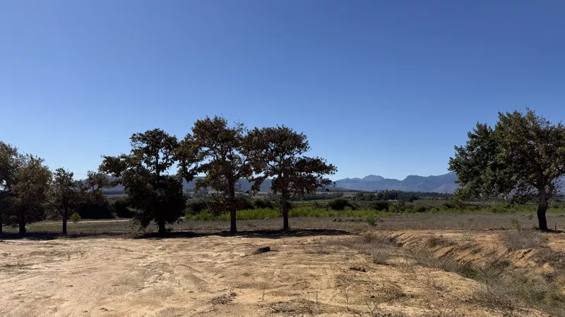 7 900 m² Industrial to let in Klapmuts, 7,900m² New Development, The Bridge, Stellenbosch (photo 7)