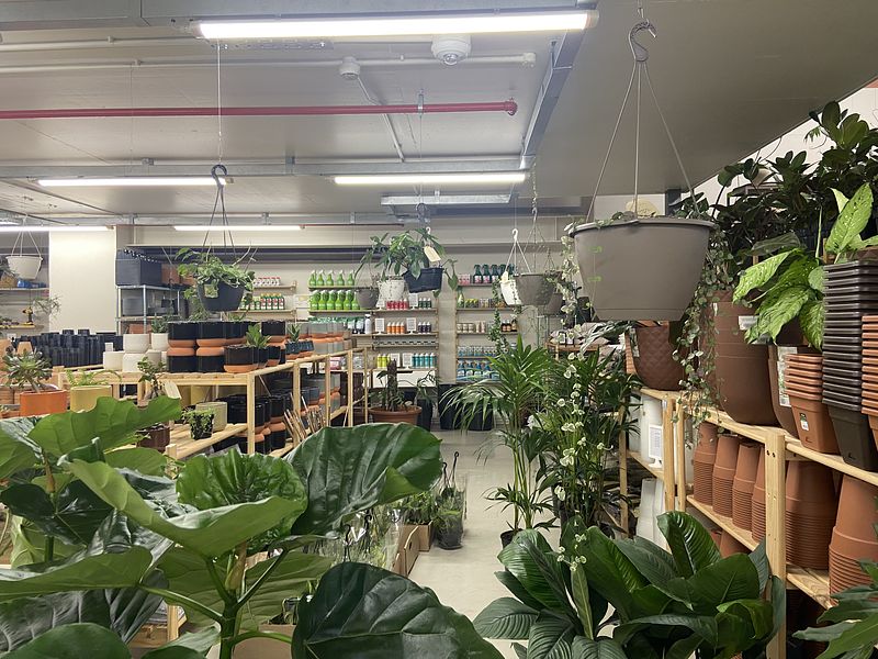 609 m² Retail property to let in De Waterkant, Old Cape Quarter (photo 16)
