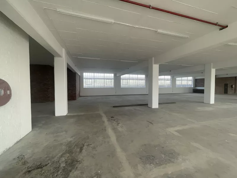 1 416 m² Industrial to let in Southern Suburbs, Landmark 91 (photo 15)