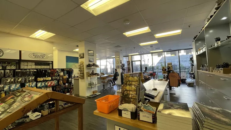 246 m² Office to let in Woodstock, The Boulevard (photo 11)