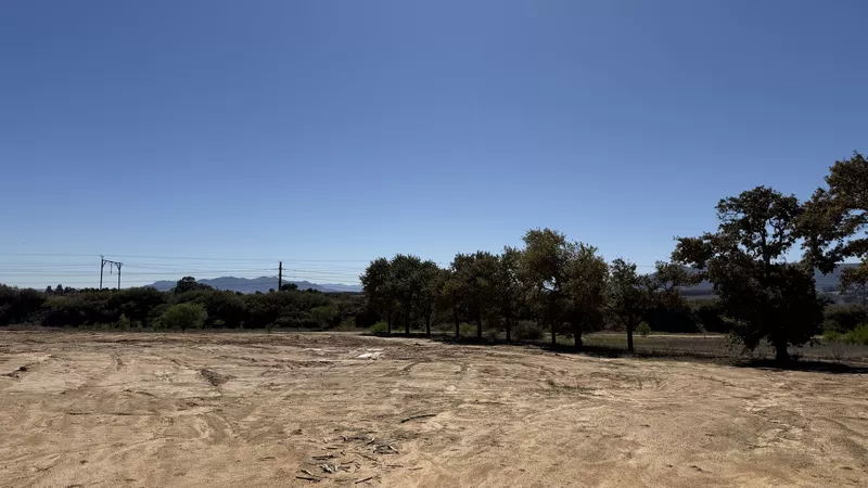 7 900 m² Industrial to let in Klapmuts, 7,900m² New Development, The Bridge, Stellenbosch (photo 16)
