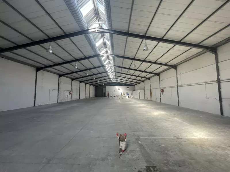 1 315 m² Industrial to let in Athlone, 8A Induland (photo 15)