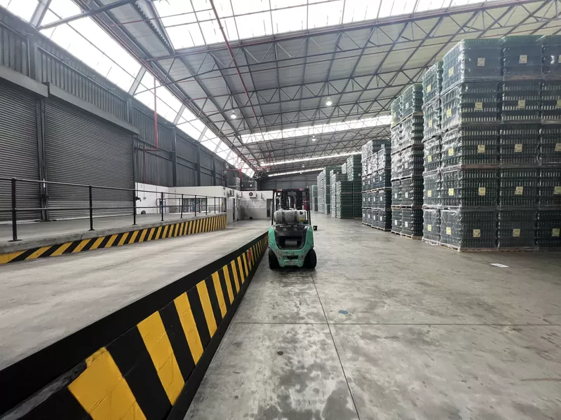 10 000 m² Industrial to let in Parow Industrial, 1 Junction Road (photo 6)