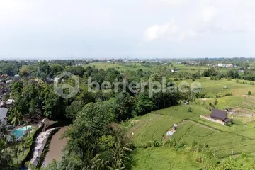Secluded Freehold 2450 sqm Land in Tabanan – Kaba Kaba – Build Your Dream Villa Amid Bali’s Natural Beauty, photo 5