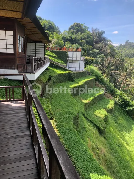 Envision Paradise: Secluded Freehold 70 Are Land in Ubud, photo 11