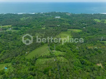 Prestigious 23.9 are Freehold Jungle Land in Balian – A Rare Investment Opportunity Blending Natural Serenity with Coastal Elegance, photo 4