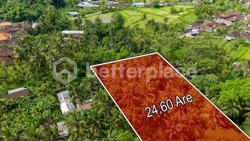 Charming Riverside Retreat Plots in Peaceful Kaba-Kaba, photo 9