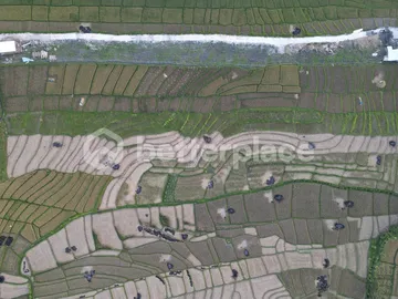 Prime 68.36 Are Pink Zone Land in Cemagi, Ideal for Development, 3 Minutes Away From the Beach, photo 5