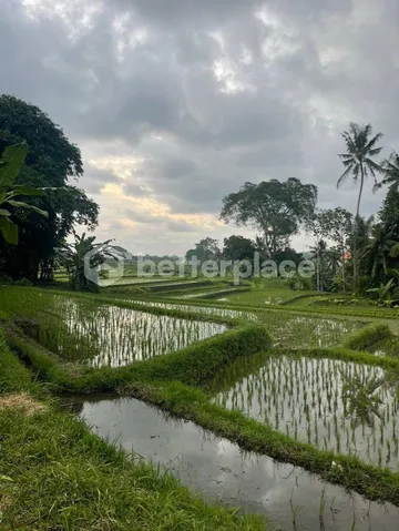Prime Investment Opportunity, 912 Sqm Land in Munggu, photo 5