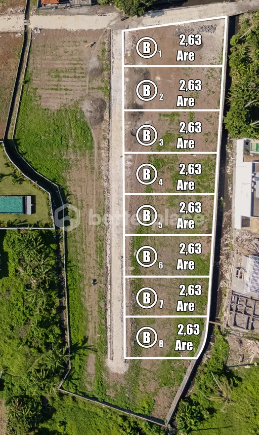 Discover Your Dream Home: Affordable 1,4 Are Freehold Land in Prestigious Nusa Dua, Bali, photo 7