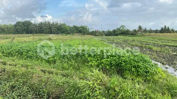Land of Dreams: Exclusive Leasehold Opportunity in Kedungu – Craft Your Bali Oasis!, photo 4