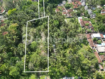Unlock Potential 3910 sqm Leasehold Land in Lodtunduh, photo 3