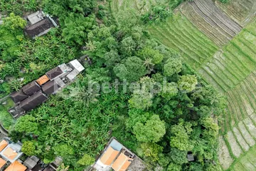 203 Sqm Leasehold Land in Tumbak Bayuh – Ideal for Luxury Villa Development, photo 4