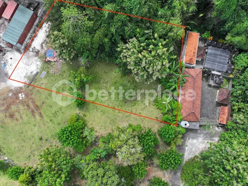 Unbeatable Value: Secure This Rare Leasehold 200 sqm Bali Land Deal Before It’s Gone, photo 6