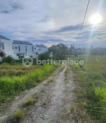 Prime Freehold Land with Rice Field View near Pantai Lima, photo 2