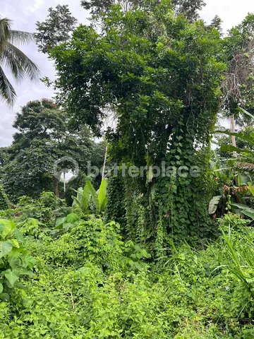 Investment Opportunity, 1,900 sqm Land in Ubud, Pejeng, photo 5