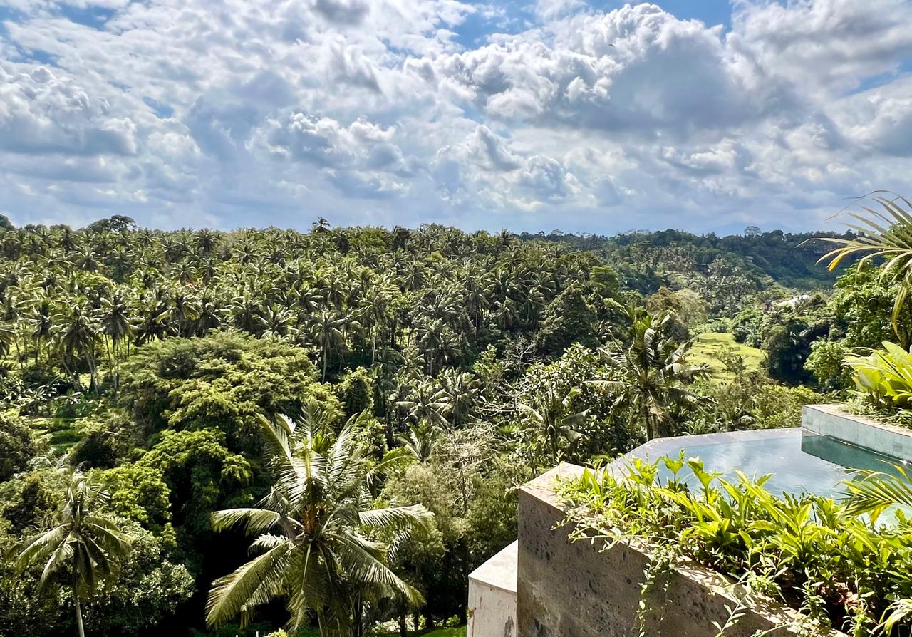 Layered 1BR Villa w/ Ayung Valley Views and Private Pool, Jungle Edge, photo 8