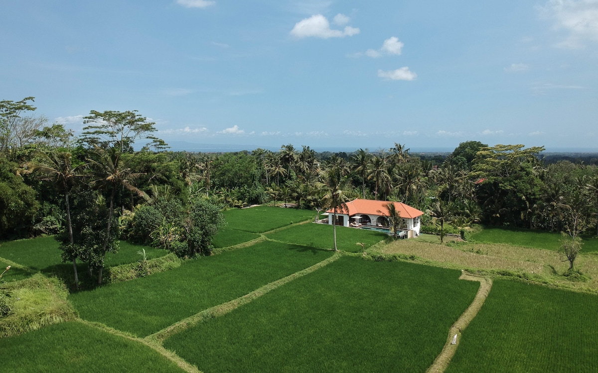 Sun-Drenched 3BR Villa w/ Private Pool and Sunset Views, Rice Field Setting, photo 6