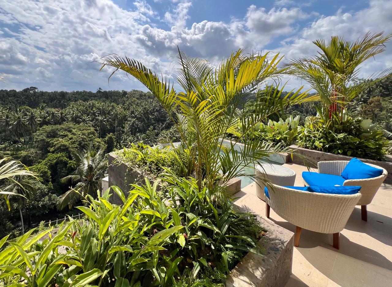 Ridgeline 1BR Villa w/ Rooftop Patio and River Views, photo 10