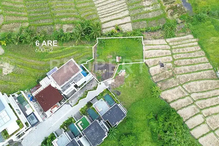 FREEHOLD LAND IN CEMAGI WITH RICE VIEWS IN A CALM ENVIRONMENT, photo 3