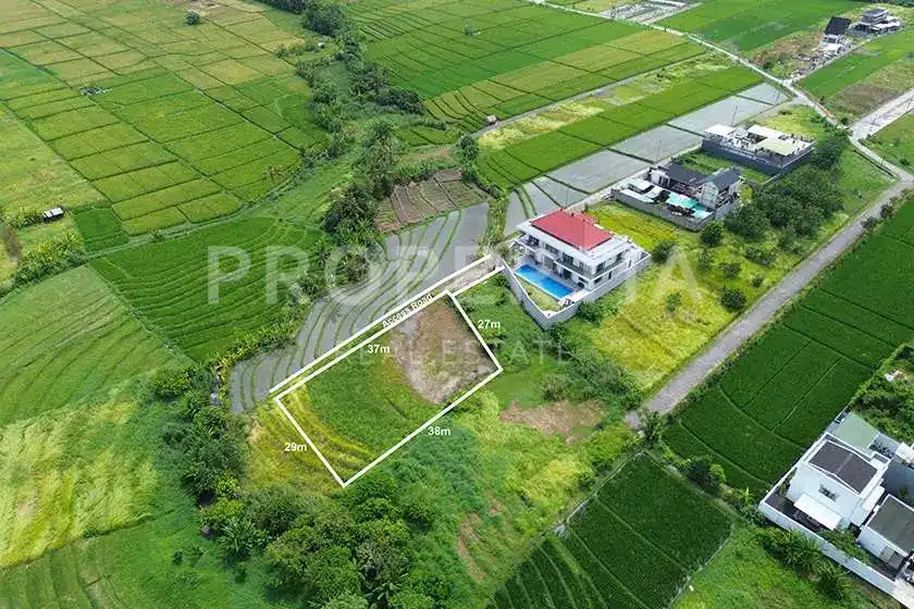 PRIME KEDUNGU LAND WITH BREATHTAKING VIEWS OF LUSH RICE FIELDS, photo 4