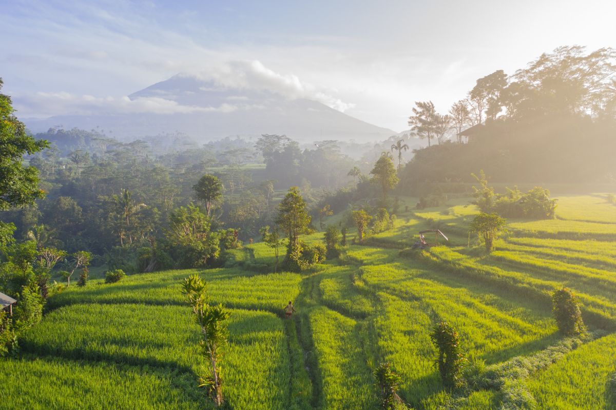 Explore Bali's Hidden Gems