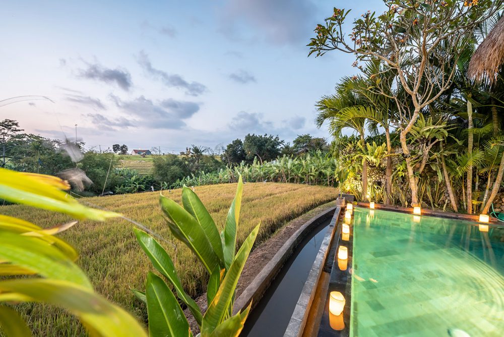 Villa Anyar - Canggu