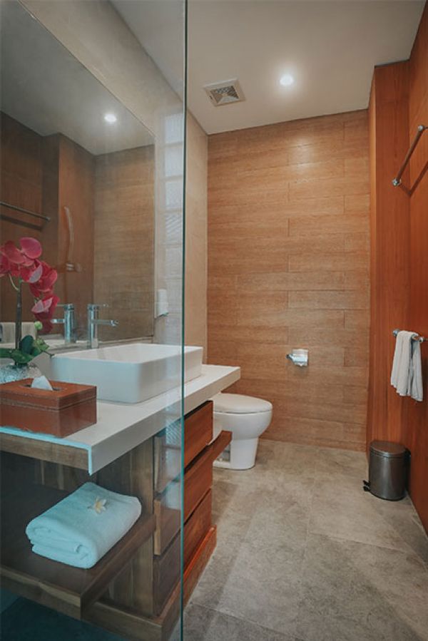 2 Bedroom The Wina Villa Seminyak - Bali