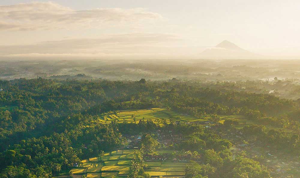 villa in ubud