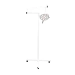 FOCO CIRÚRGICO PEDESTAL COM RODÍZIO 12 LEDS VET DELTALIFE