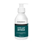 GEL DE ARNICA CONCENTRADO ACTIV-GEL 250G HIDRAMAIS