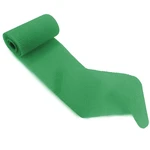 ATADURA GESSADA ORTOPÉDICA GESSO SINTÉTICA HYGIA CAST (12,5CMX3,6M(VERDE)) ATADURA GESSADA ORTOPÉDICA GESSO SINTÉTICA HYGIA CAST (12,5CMX3,6M(VERDE))