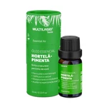 ÓLEO ESSENCIAL PARA DIFUSOR HORTELÃ-PIMENTA 10ML MULTI SAÚDE