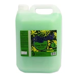 SABONETE LÍQUIDO PERFUMADO DE ERVA-DOCE 5L RAMALET CONDESP