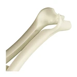 Espéculo nasal descartável KOLPLAST