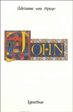 John: The Discourses of Controversy