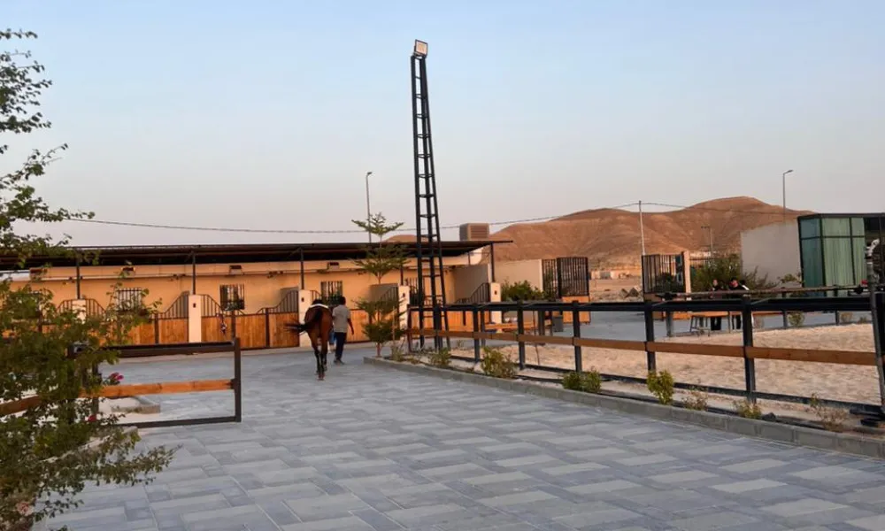 رامة للفروسية 6