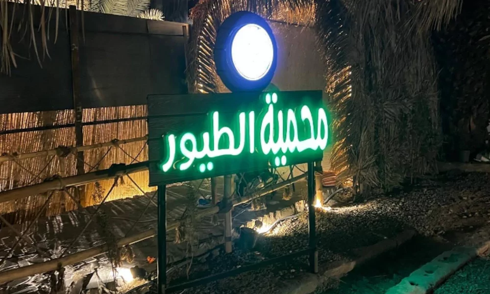 مزرعة المربد 4