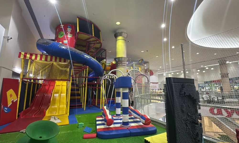 فن آرك 3