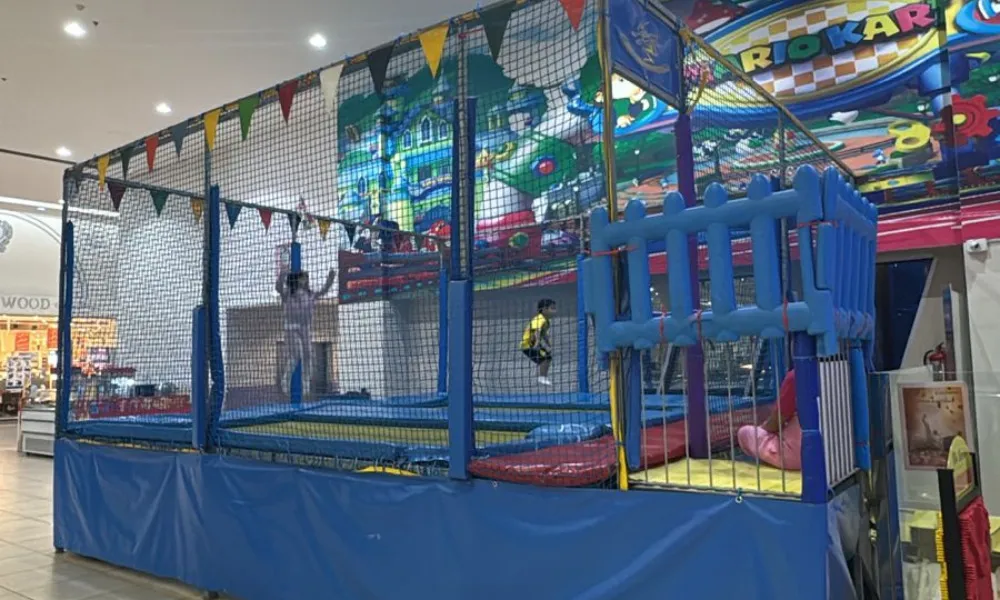 فن آرك 4