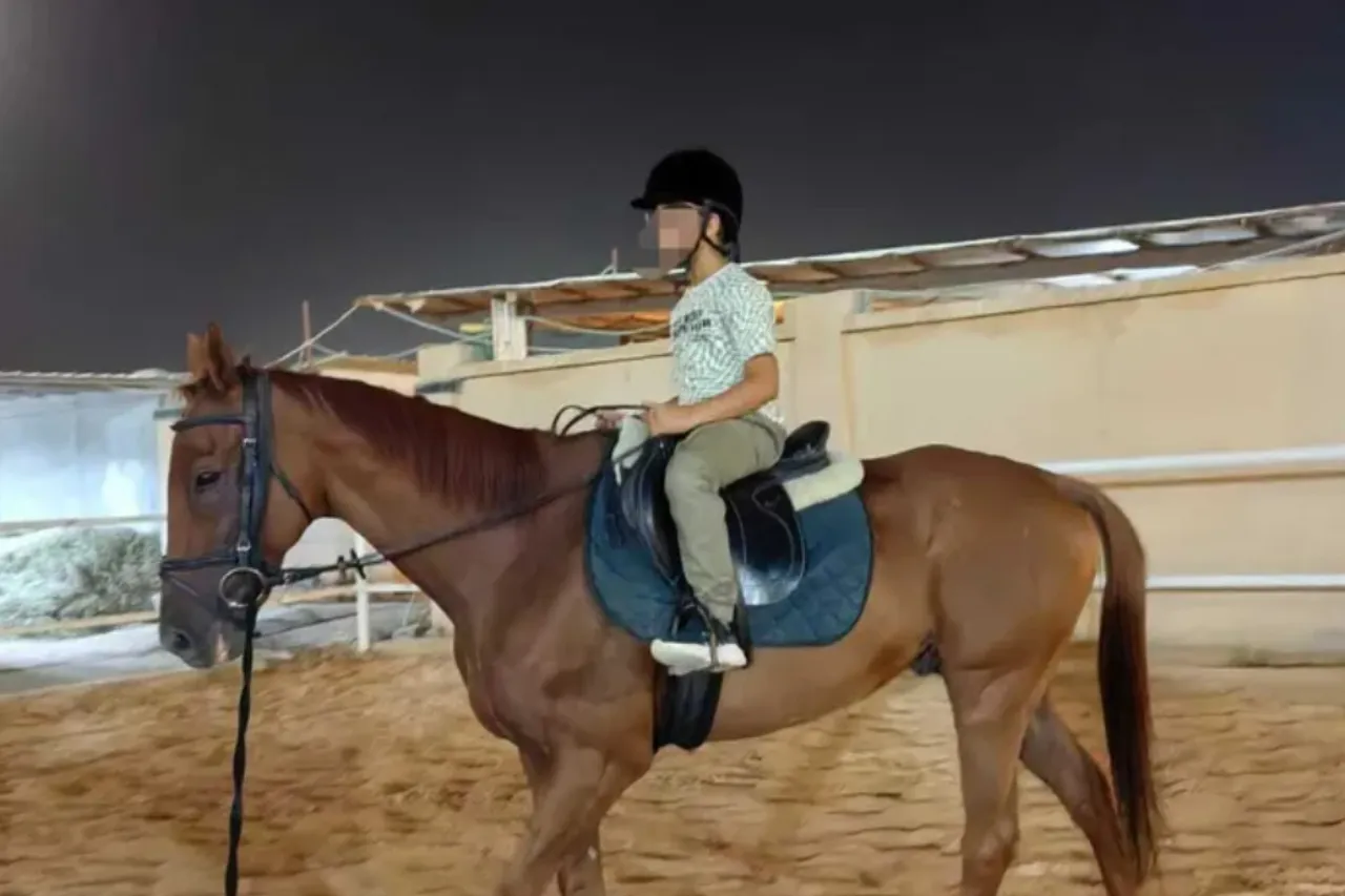 ضور النجوم للفروسية 2