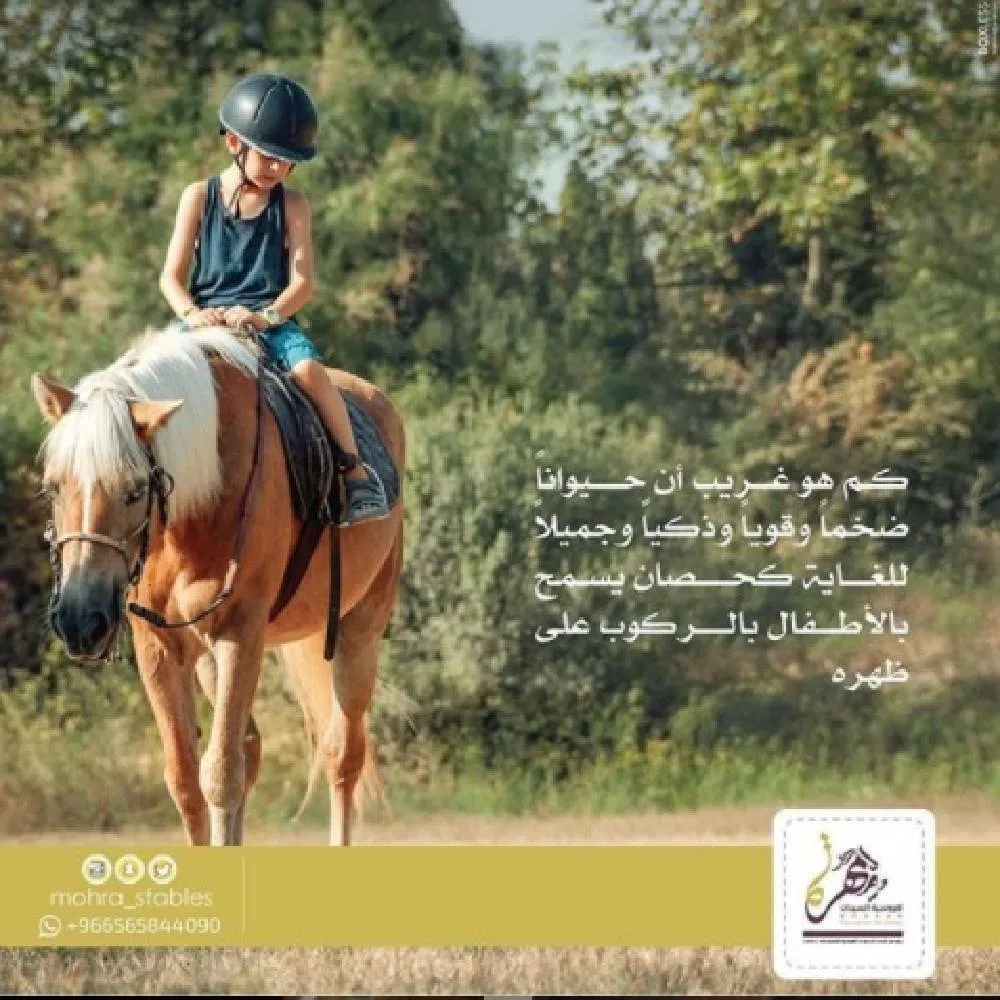 نادي مهرة لفروسية السيدات 4
