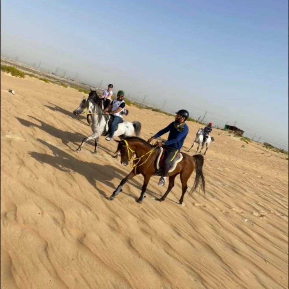 أدفينشر الخبر 3