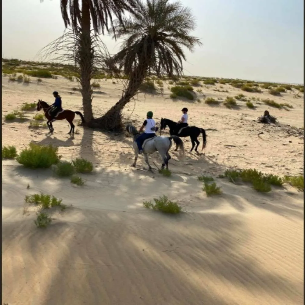 أدفينشر الخبر 5