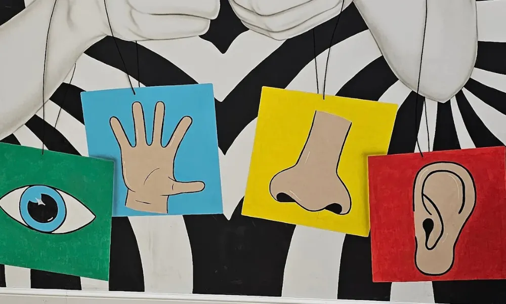 سينساس 2