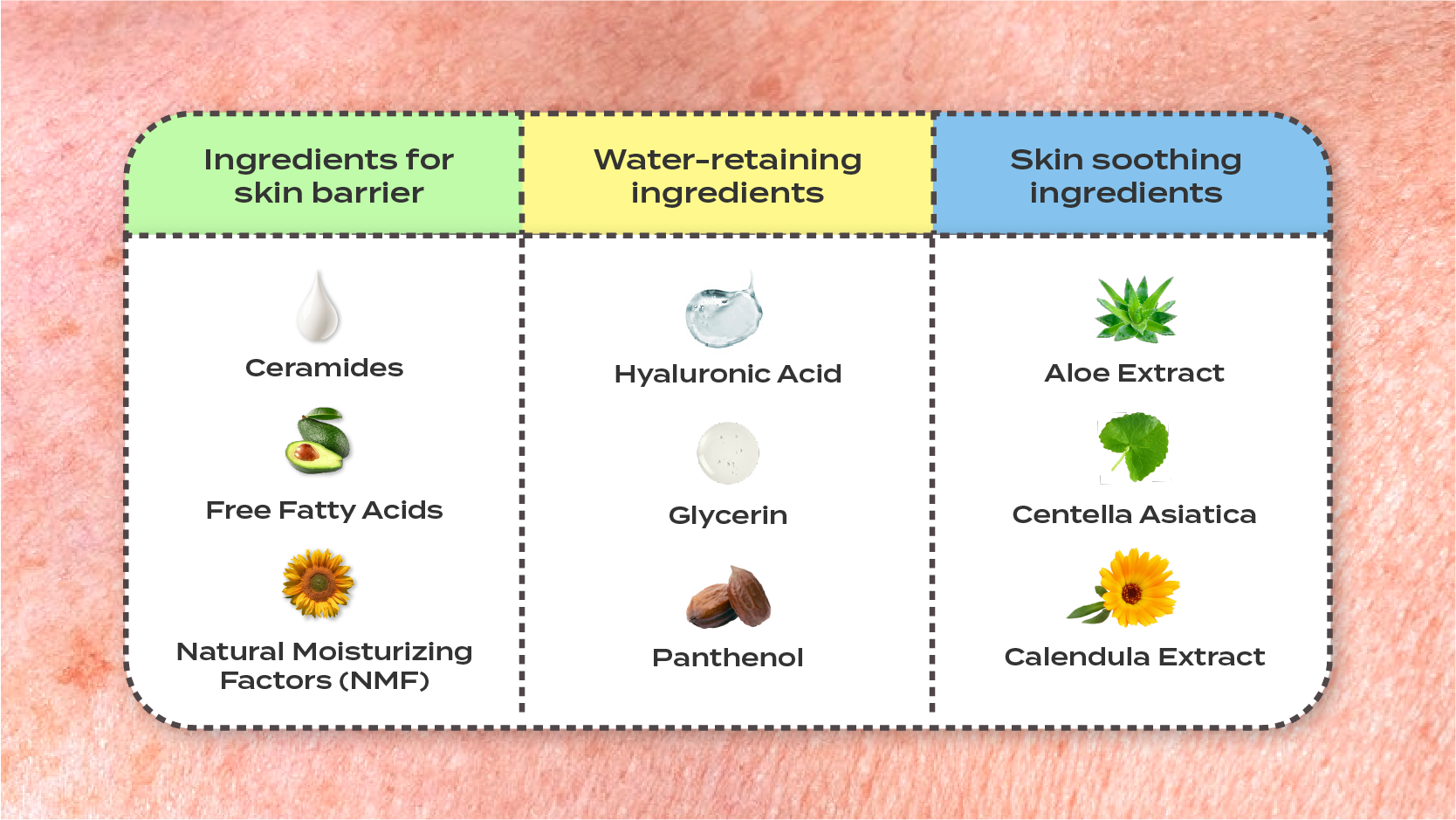 skin barrier ingredients