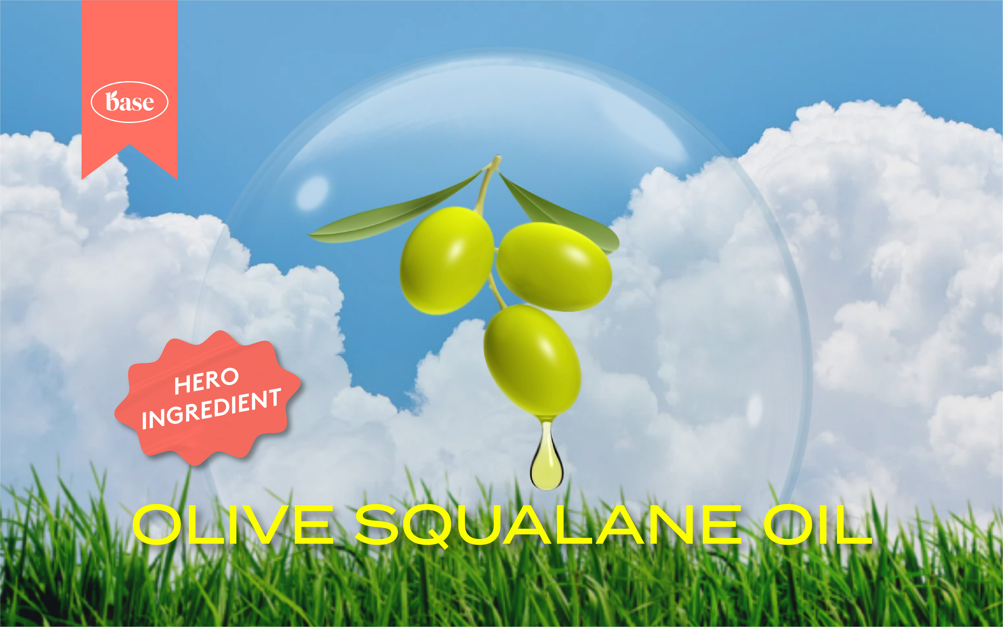 skincare, hero ingredient, olive squalane oil