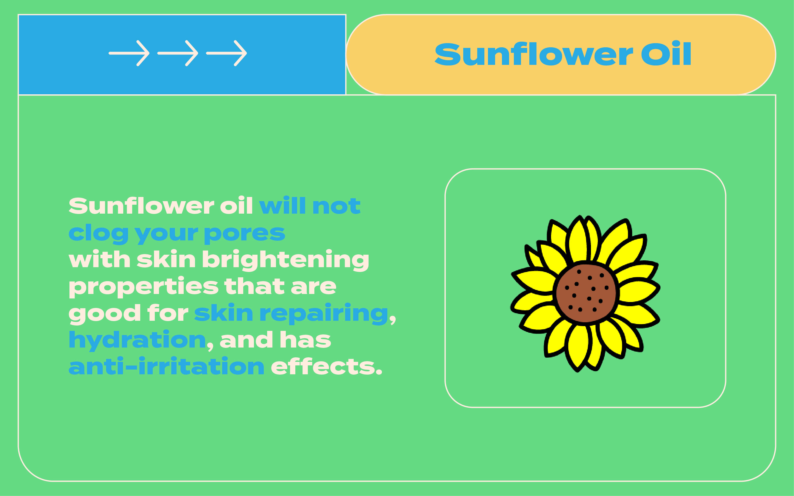 minyak sunflower